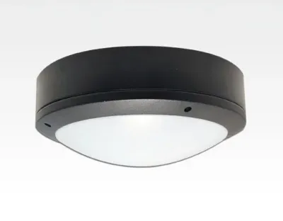 30W LED Wand/Deckenleuchte anthrazit rund Tageslicht Weiß / 6000-6500K 1350lm 230VAC IP65 120Grad